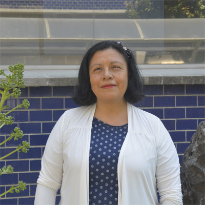 Responsable técnico