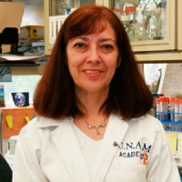 Patricia de la Torre