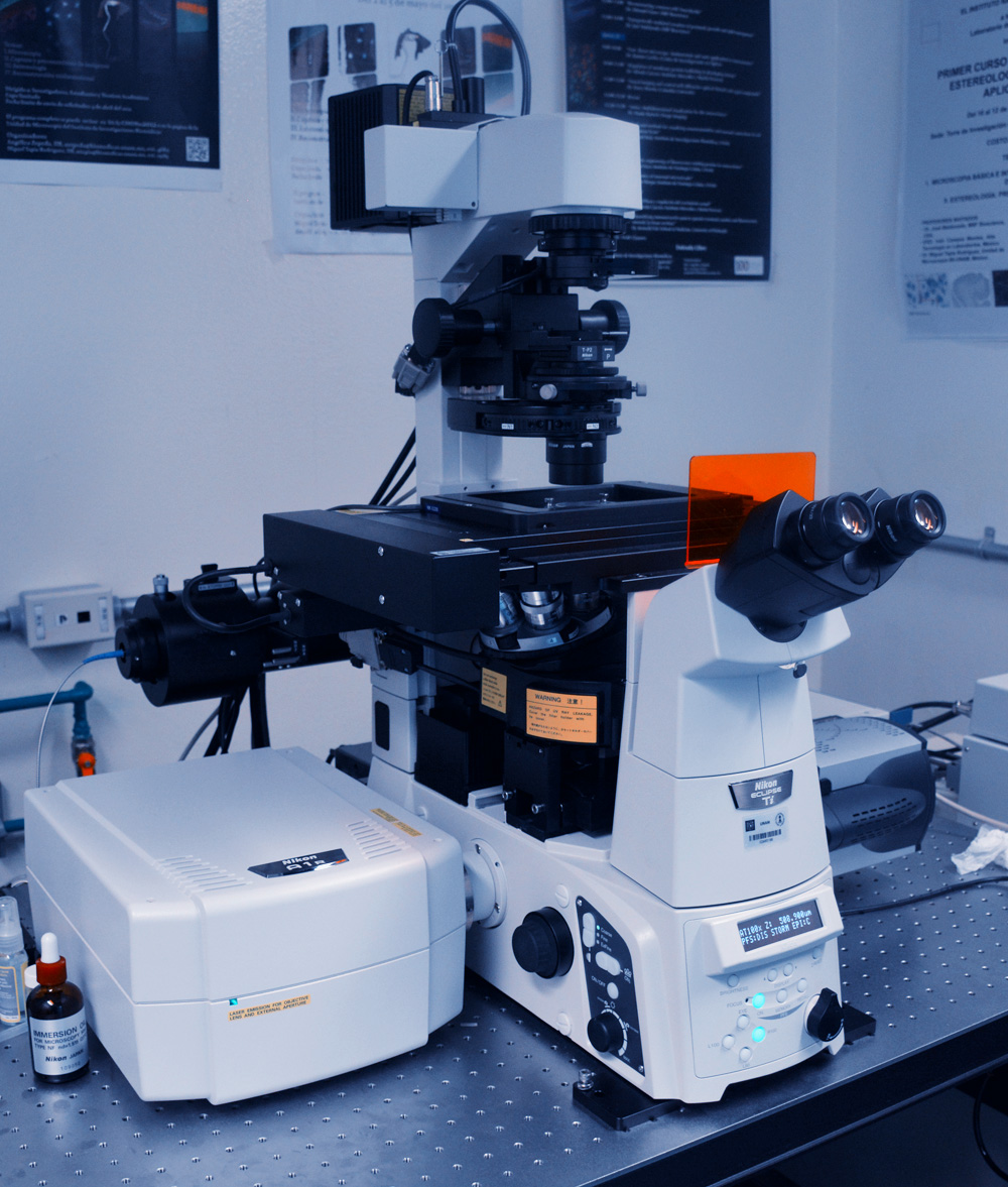 Cercanamente Demostrar Especialista Unidad de Microscopía – Instituto de Investigaciones Biomédicas